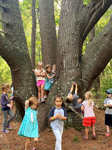 Kids climbing a giant tree