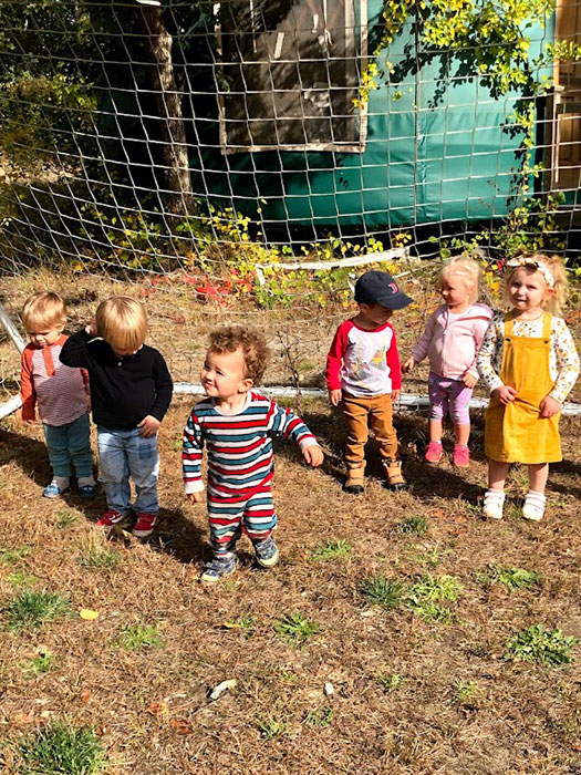 Children in the playground