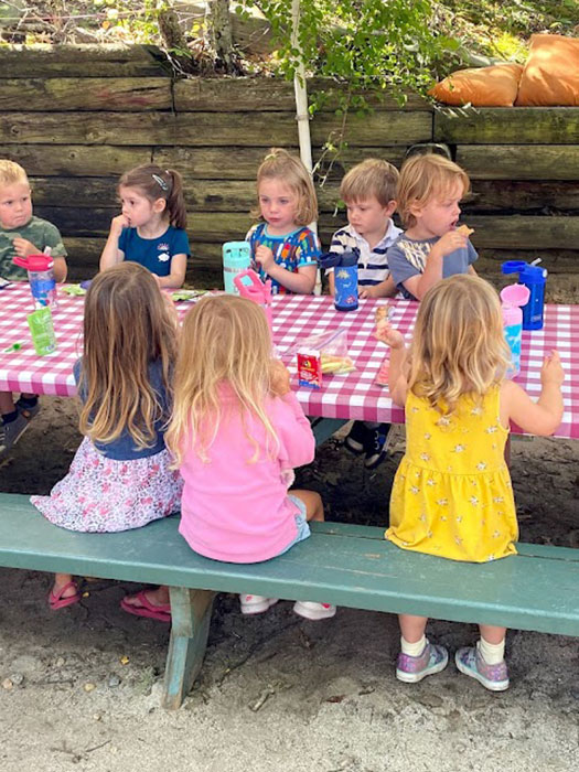 Kids at a picnic